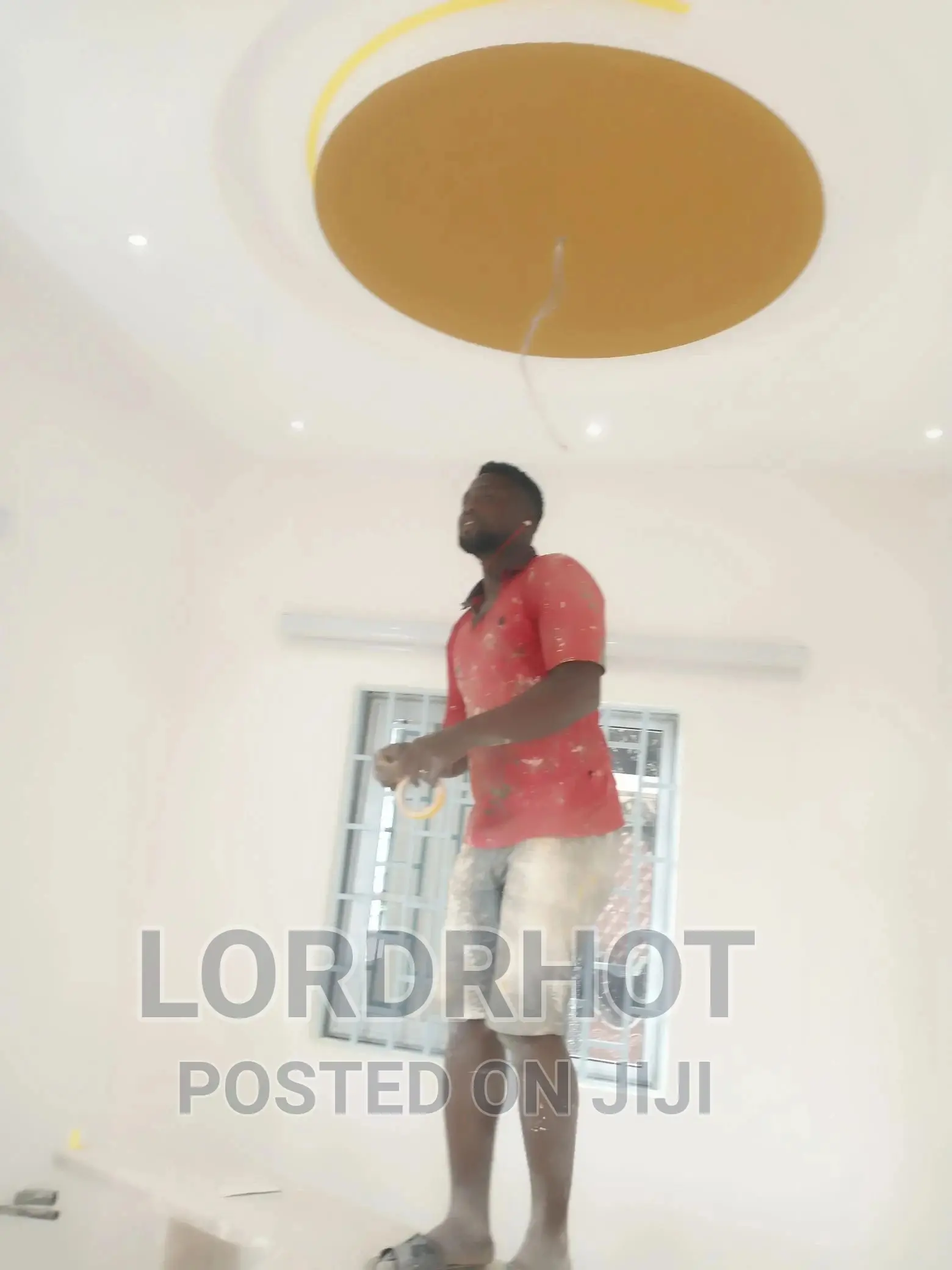 Professional and Affordable Painter