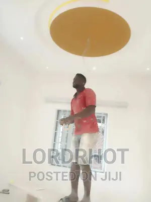 Professional and Affordable Painter