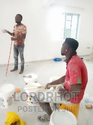 Professional and Affordable Painter