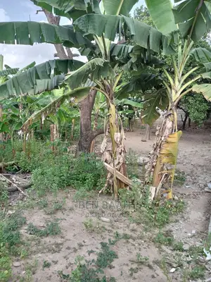 A Plot of Land at Agbogba for Sale Title 600,000