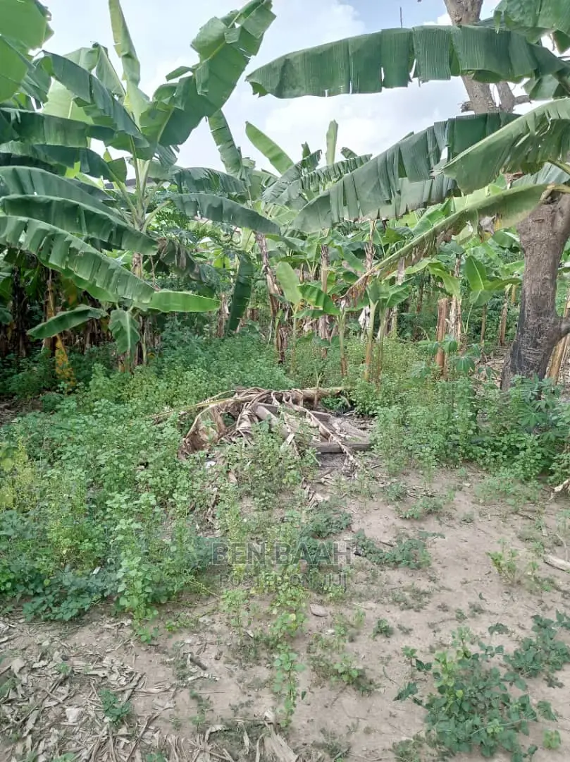 A Plot of Land at Agbogba for Sale Title 600,000