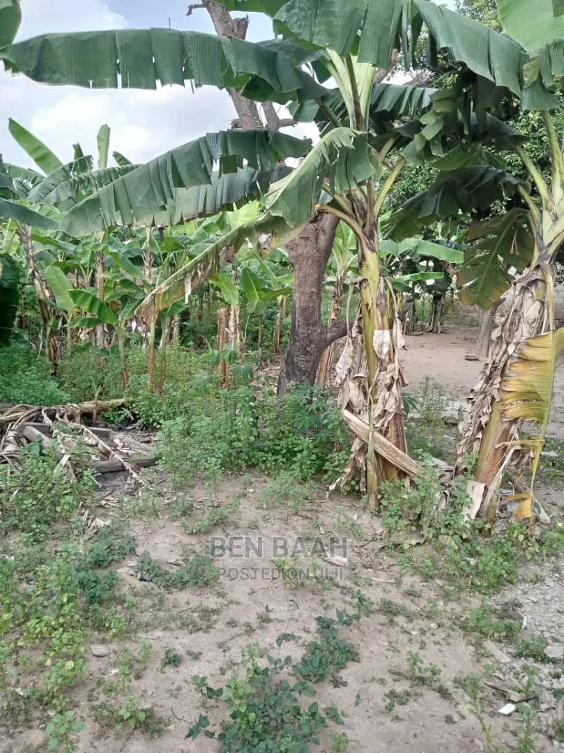 A Plot of Land at Agbogba for Sale Title 600,000