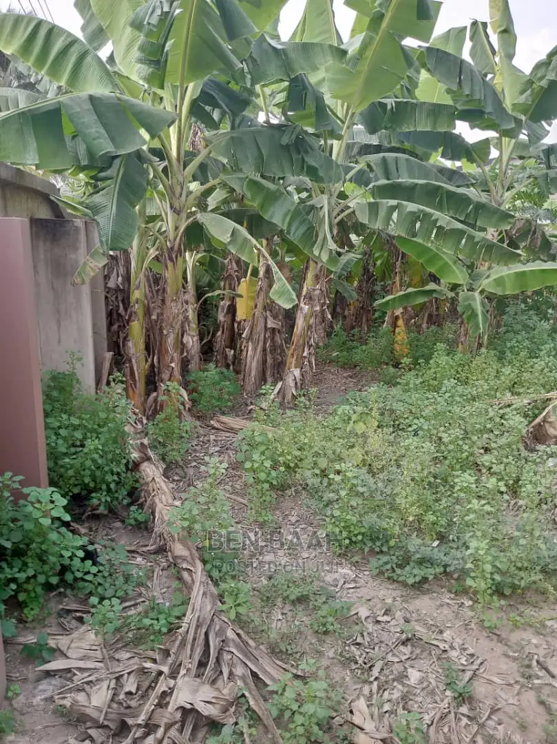A Plot of Land at Agbogba for Sale Title 600,000