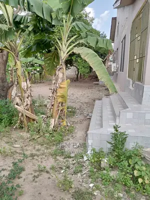 A Plot of Land at Agbogba for Sale Title 600,000