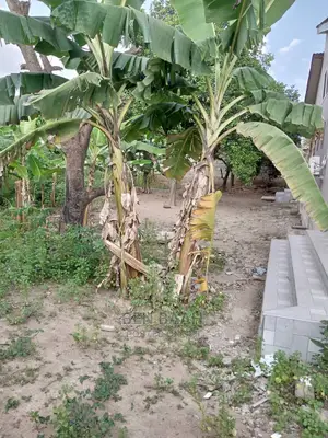 A Plot of Land at Agbogba for Sale Title 600,000