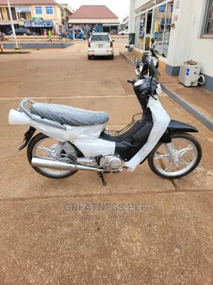 Luojia 110cc 2020 Beige