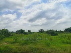 Asutuare Land for Sale.* 
2000 Acres of Title Registrations
