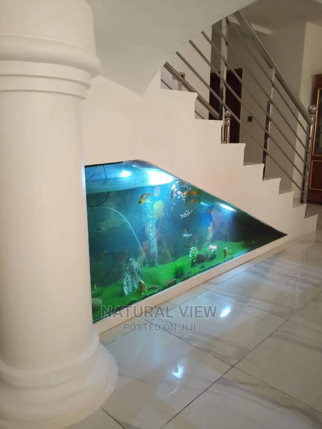 Aquarium Under Stairs