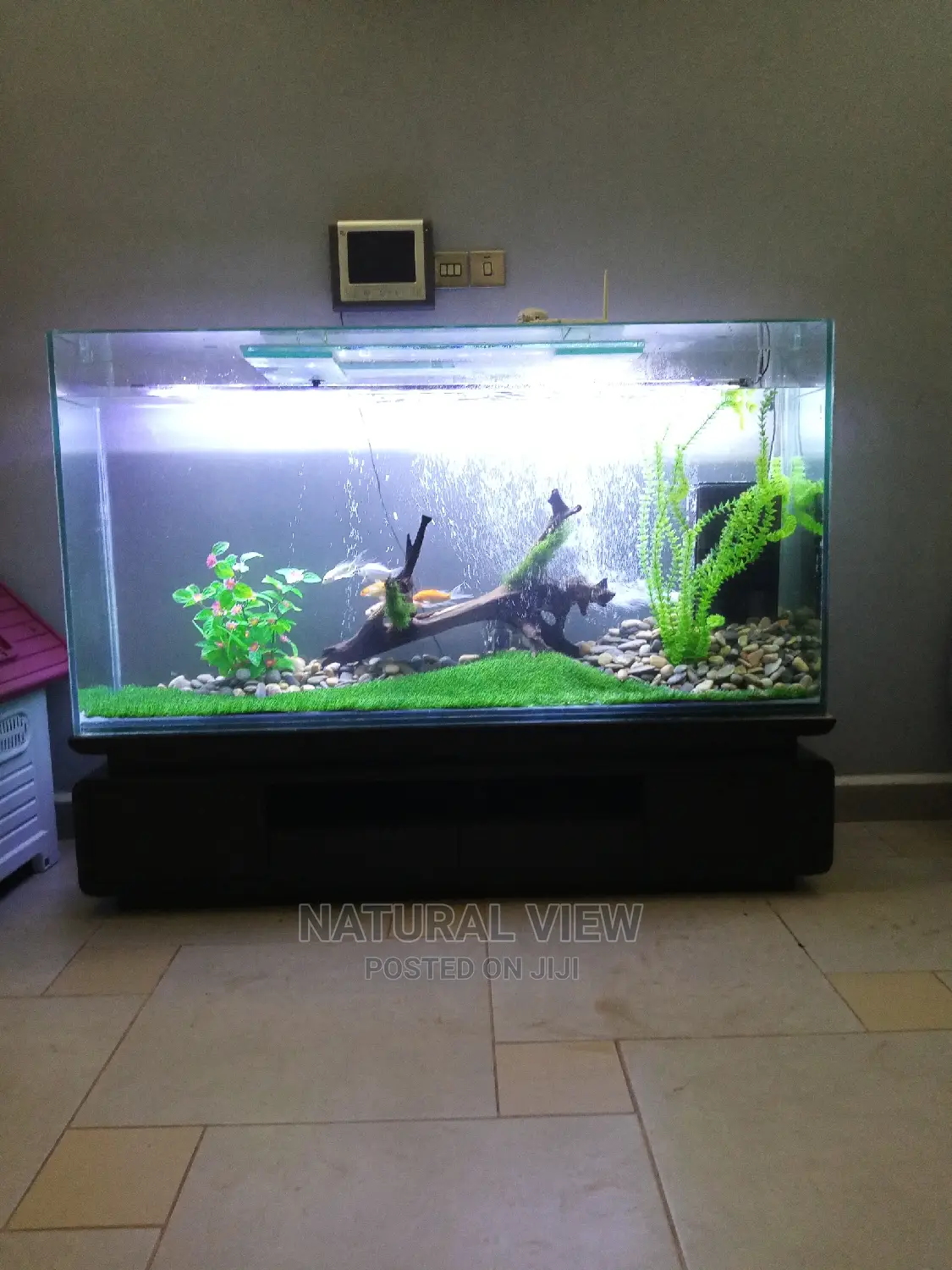 Aquarium Tanks