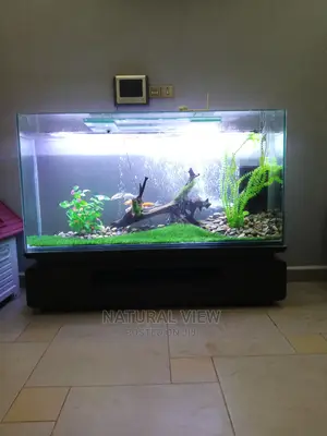 Aquarium Tanks