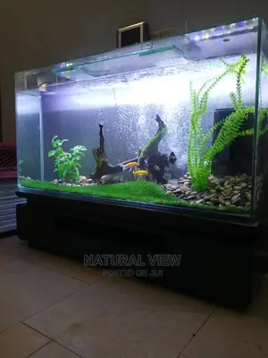 Aquarium Tanks