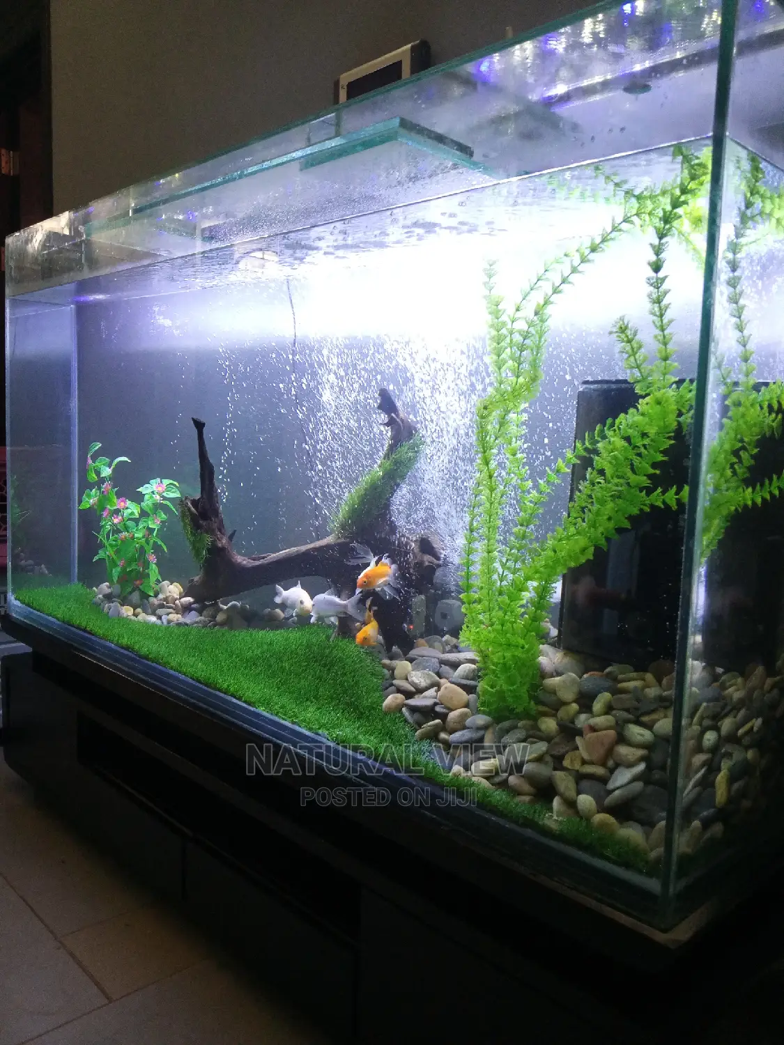 Aquarium Tanks