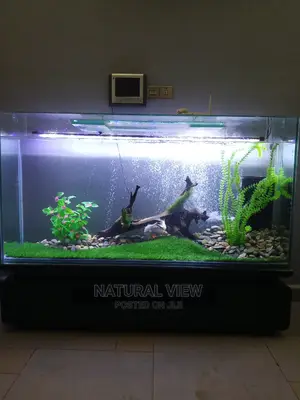 Aquarium Tanks