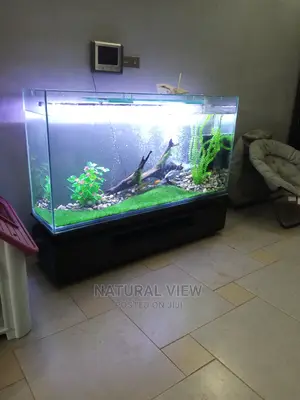 Aquarium Tanks