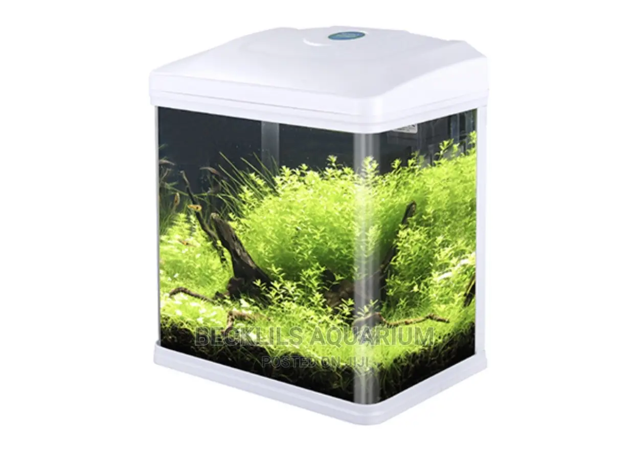 Quality Mini Aquariums