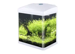 Quality Mini Aquariums