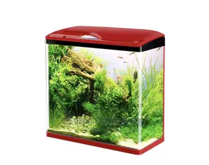 Quality Mini Aquariums