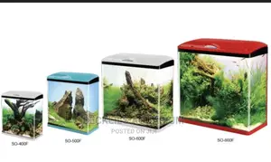Quality Mini Aquariums
