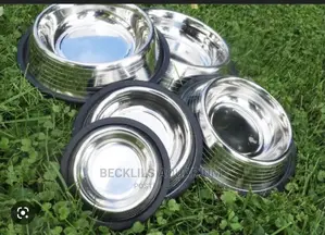 Dog and Cat Eating Bowls