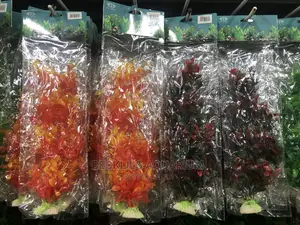 Aquarium Plants and Accessories