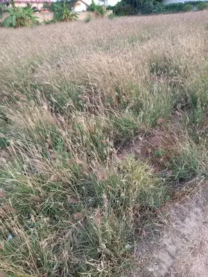10 000 Acres of Land at Shai Hills