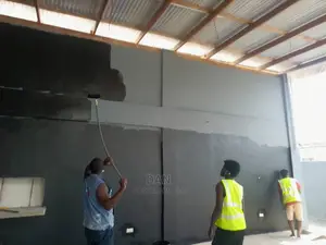 Painter Services