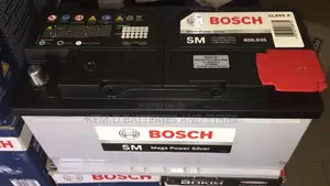 19 Plates Bosch Batteries - 12V 100ah - For Mercedes Bmw