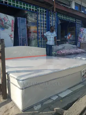 Bed With Inbuilt Mattress(King Size)