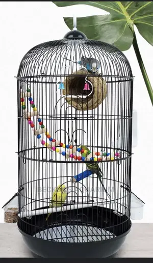 Quality Parrot Cages and Accessories