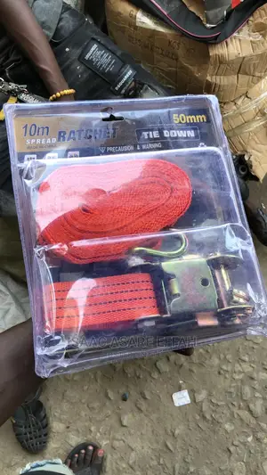 Rachet Strap/Tie Down /Container Belts