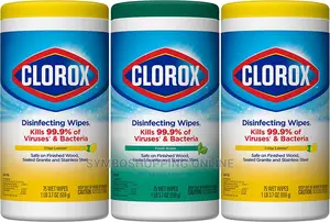 Clorox Disinfecting Wipes