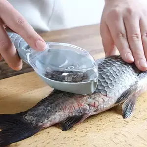 Fish Poachers