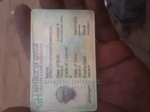 Driver With Licence C