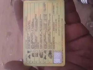 Driver With Licence C