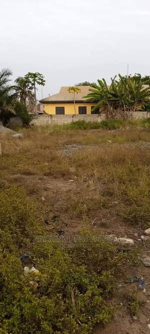 1 Barely Plot of Land for Sale at Asylum Down