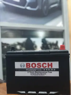 19 Plate Bosch Battery + Free Instant Delivery