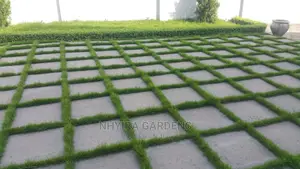 Yard Grassing (Green Grass Planting)