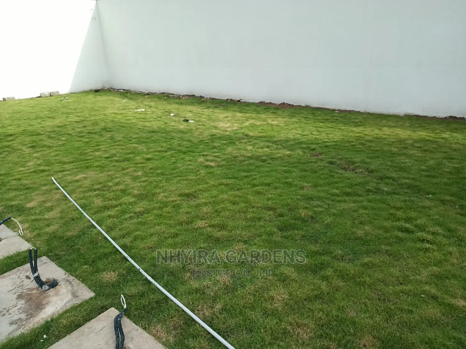Yard Grassing (Green Grass Planting)
