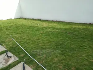 Yard Grassing (Green Grass Planting)