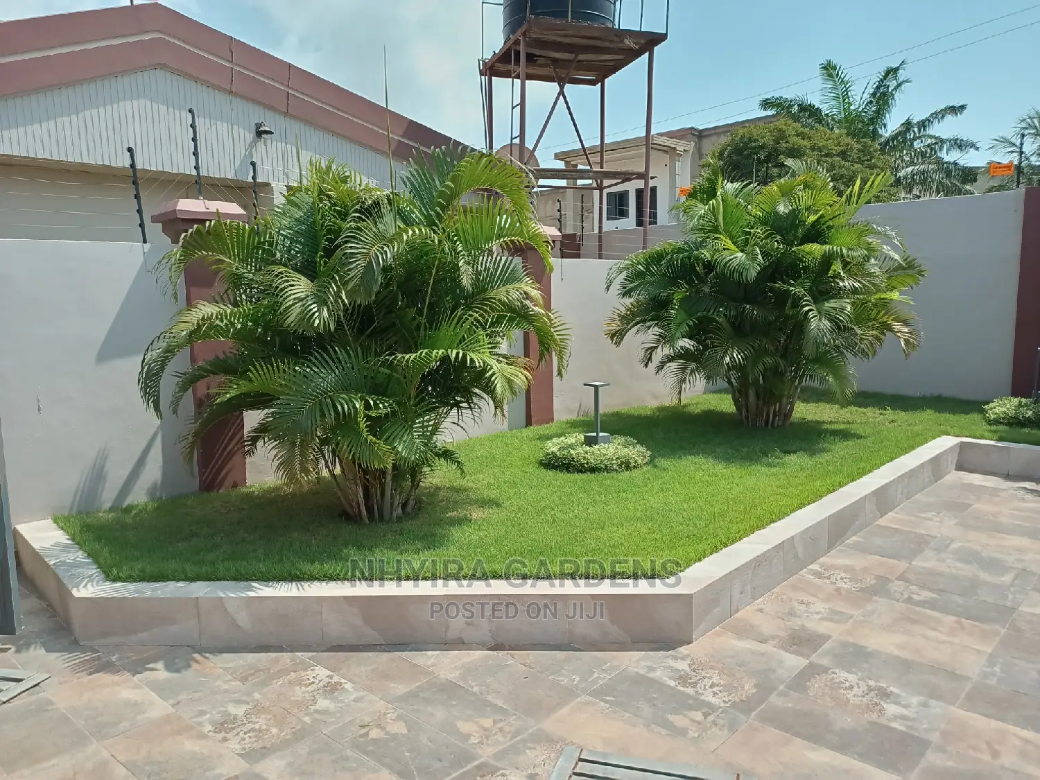 Yard Grassing (Green Grass Planting)