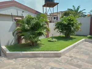 Yard Grassing (Green Grass Planting)