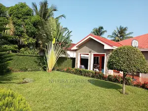 Yard Grassing (Green Grass Planting)