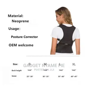 Back Support Belt