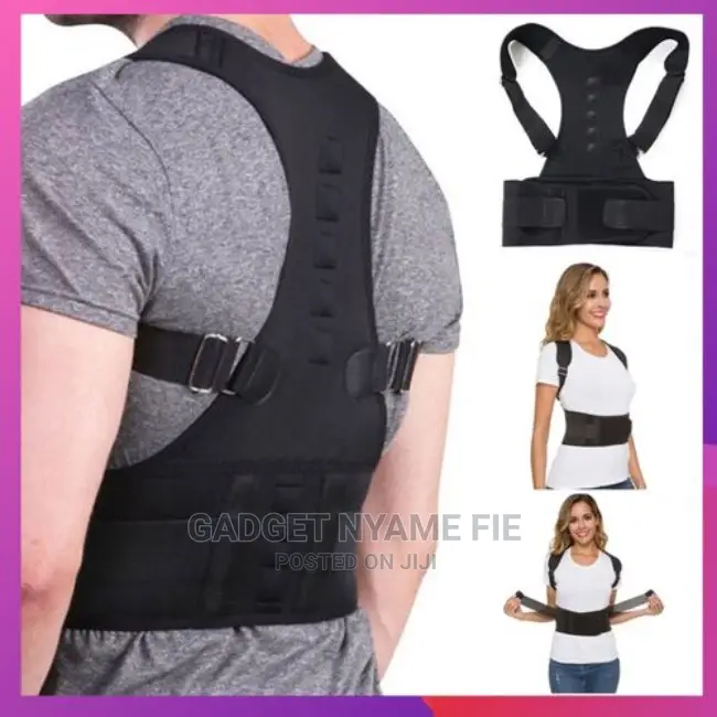 Back Support Belt