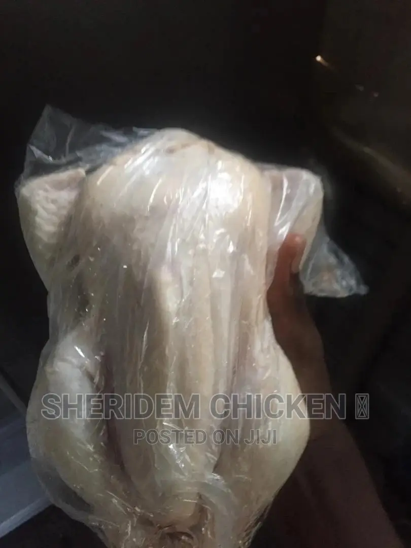 Hot Sale, Live and Well Dressed Full Chicken ,
