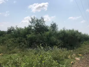 5 Acres of Land at Nungua-Tema Beach Road
