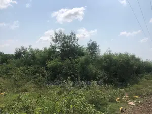 8 Plots of Land at McCarthy Hills