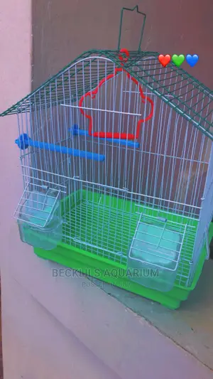 Quality Birdcage for Birds