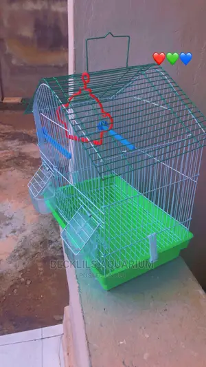Quality Birdcage for Birds