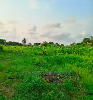One Acre Plot of Land at East Legon
